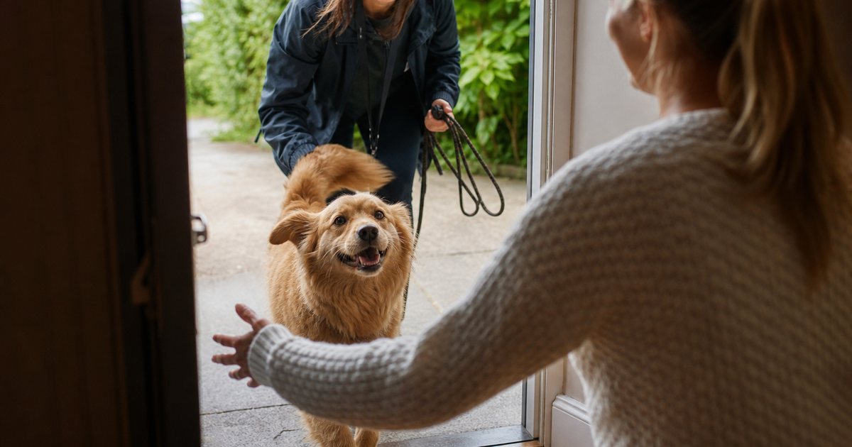 How Can New Dog Walkers Build a Loyal Base of Repeat Clients?