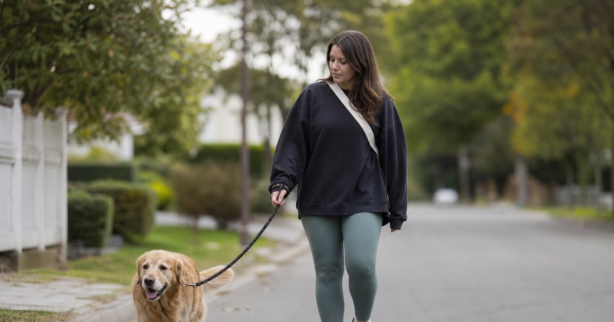 When Is It Better to Offer Solo Walks Instead of Group Dog Walks?
